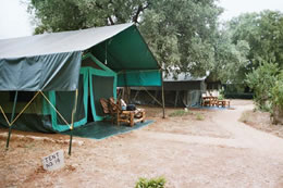 Ndololo Safari Camp Tent